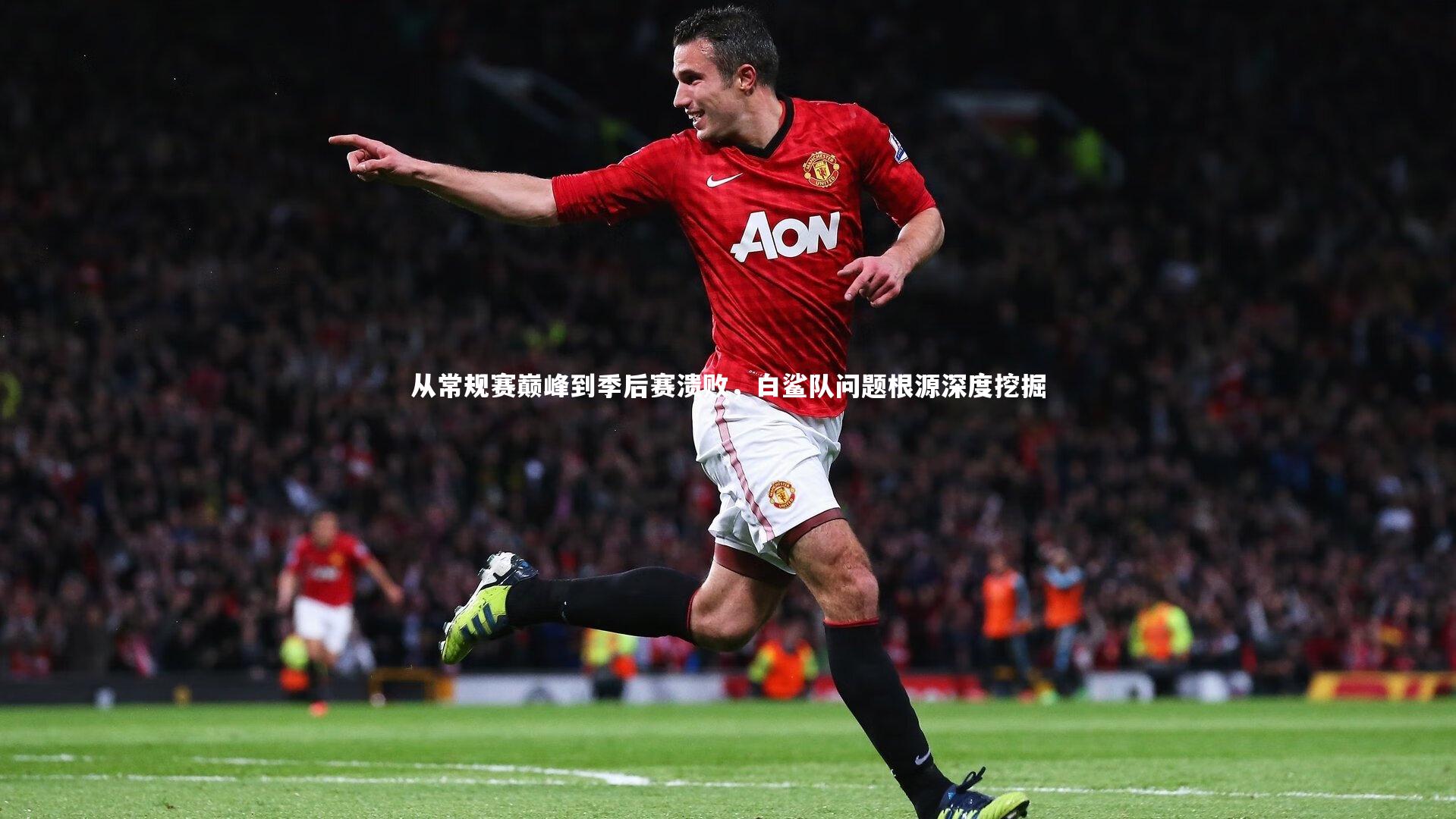 牛八体育平台：从常规赛巅峰到季后赛溃败，白鲨队问题根源深度挖掘